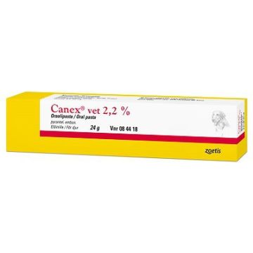 CANEX VET oraalipasta 2.2 % 24 g